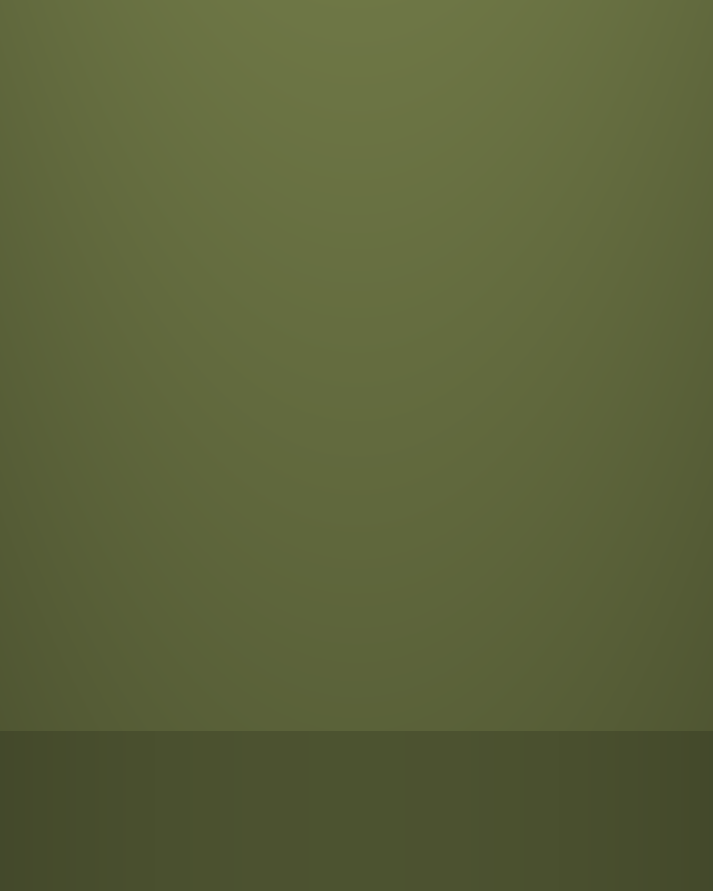 Waxed Field Jacket in Olive